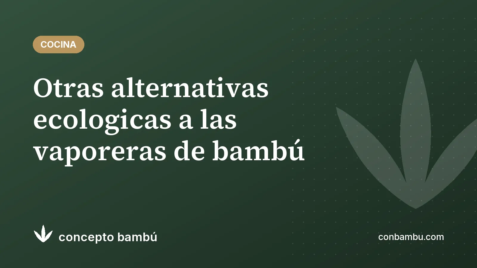 Portada del artículo «Otras alternativas ecologicas a las vaporeras de bambú» con el logotipo de Concepto Bambú