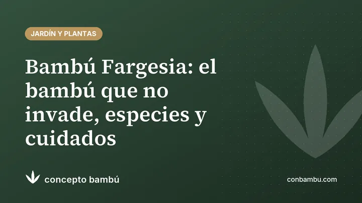 Portada del artículo «Bambú Fargesia: el bambú que no invade, especies y cuidados» con el logotipo de Concepto Bambú
