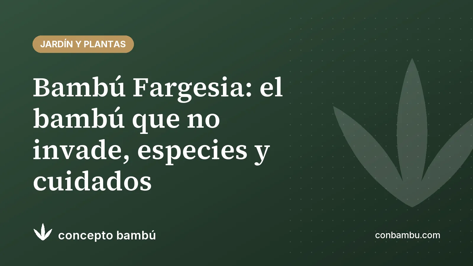 Portada del artículo «Bambú Fargesia: el bambú que no invade, especies y cuidados» con el logotipo de Concepto Bambú