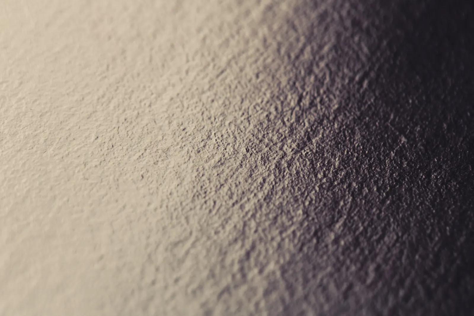 detail image