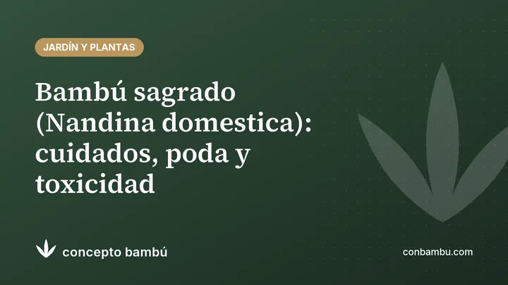 Portada del artículo «Bambú sagrado (Nandina domestica): cuidados, poda y toxicidad» con el logotipo de Concepto Bambú