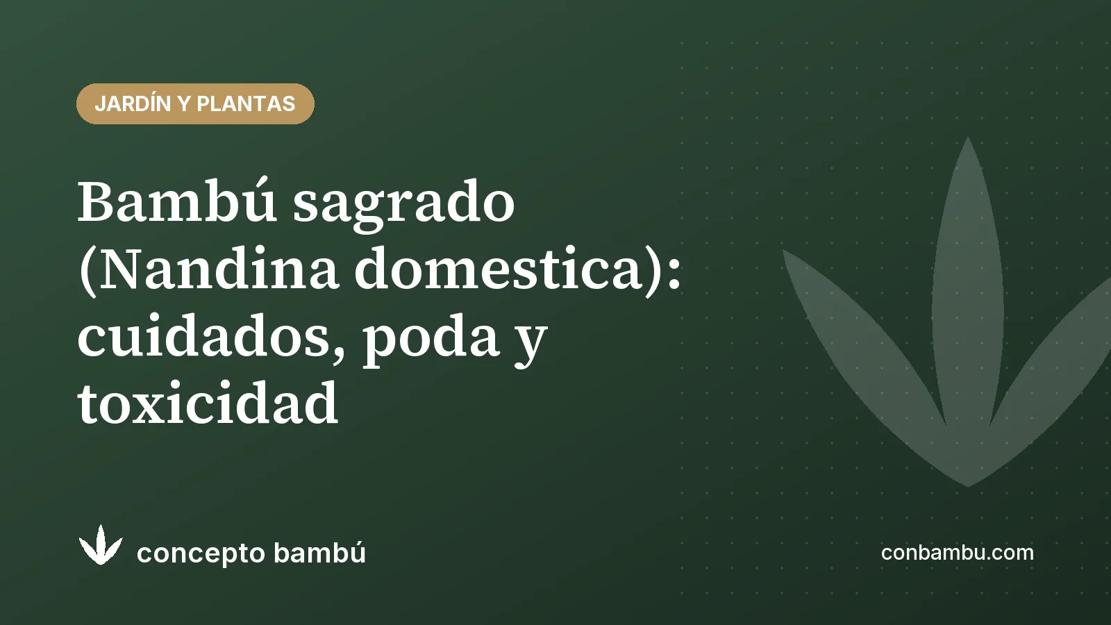 Portada del artículo «Bambú sagrado (Nandina domestica): cuidados, poda y toxicidad» con el logotipo de Concepto Bambú