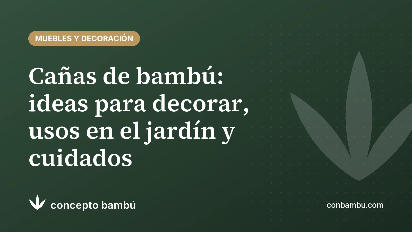 Portada del artículo «Cañas de bambú: ideas para decorar, usos en el jardín y cuidados» con el logotipo de Concepto Bambú