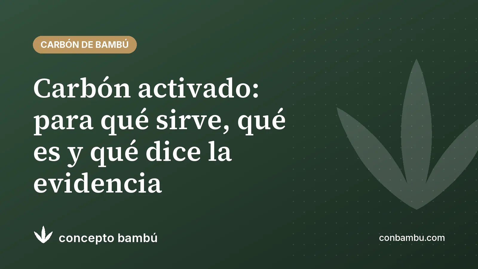 Portada del artículo «Carbón activado: para qué sirve, qué es y qué dice la evidencia» con el logotipo de Concepto Bambú