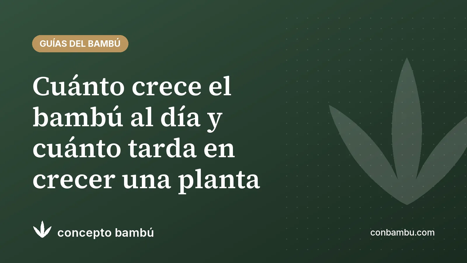 Portada del artículo «Cuánto crece el bambú al día y cuánto tarda en crecer una planta» con el logotipo de Concepto Bambú