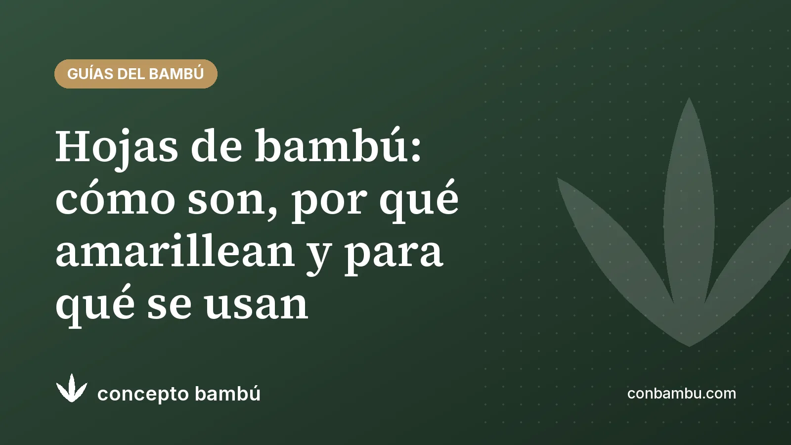 Portada del artículo «Hojas de bambú: cómo son, por qué amarillean y para qué se usan» con el logotipo de Concepto Bambú