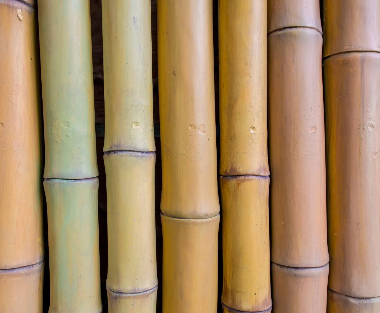 moho en bambu