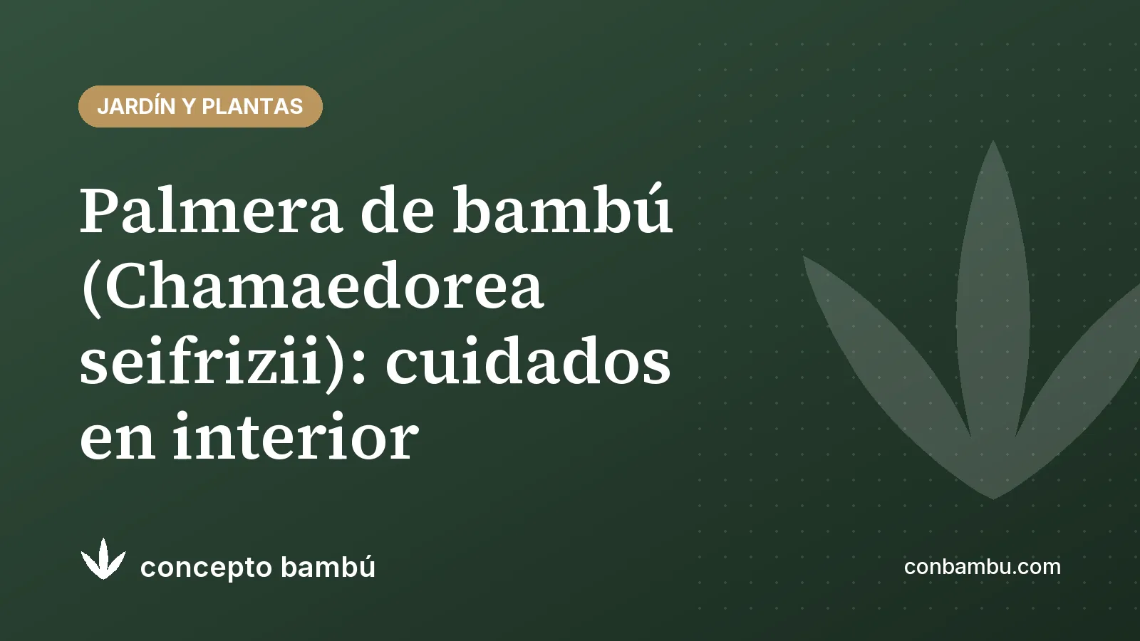 Portada del artículo «Palmera de bambú (Chamaedorea seifrizii): cuidados en interior» con el logotipo de Concepto Bambú