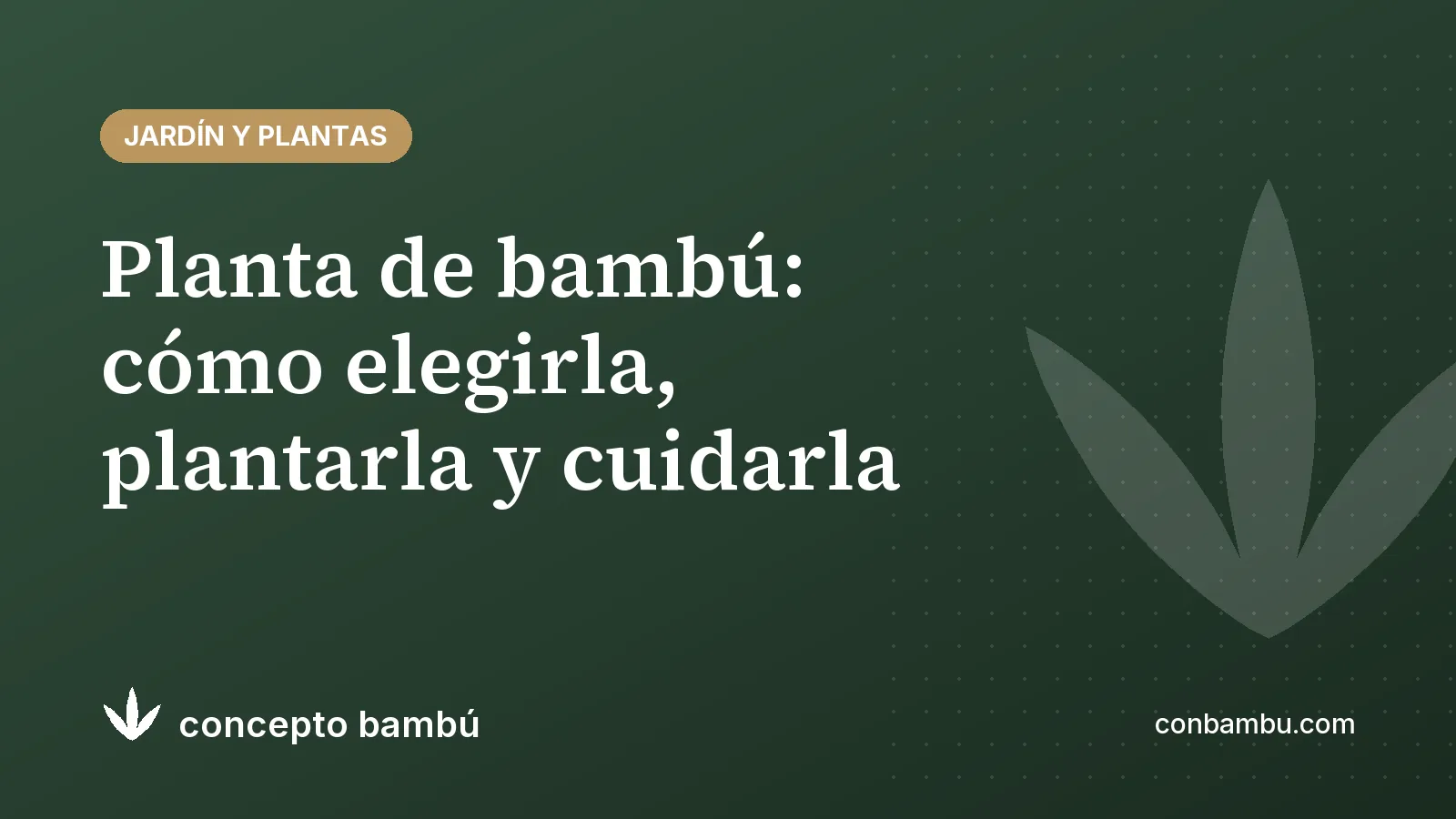 Portada del artículo «Planta de bambú: cómo elegirla, plantarla y cuidarla» con el logotipo de Concepto Bambú