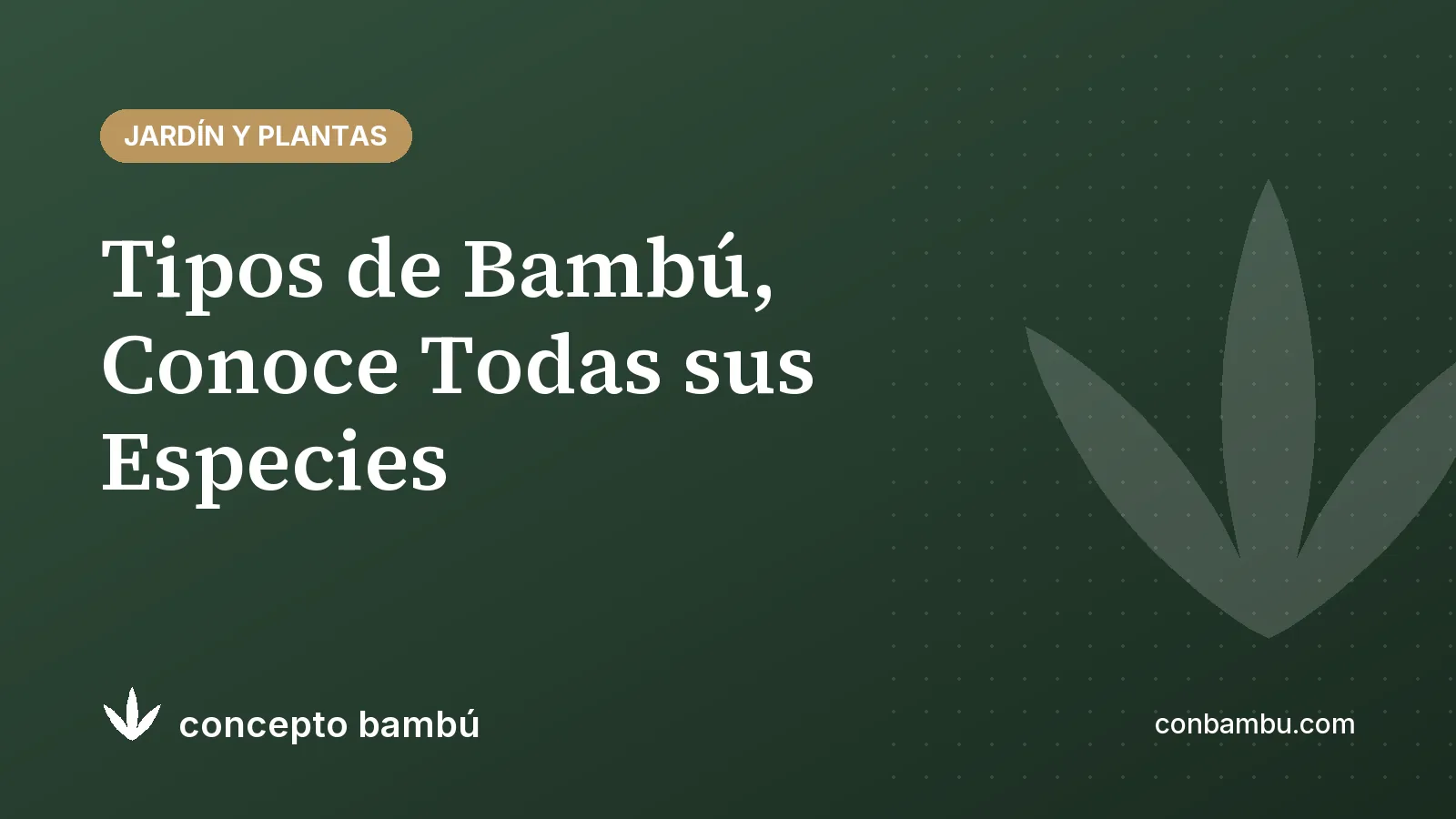 Portada del artículo «Tipos de Bambú, Conoce Todas sus Especies» con el logotipo de Concepto Bambú