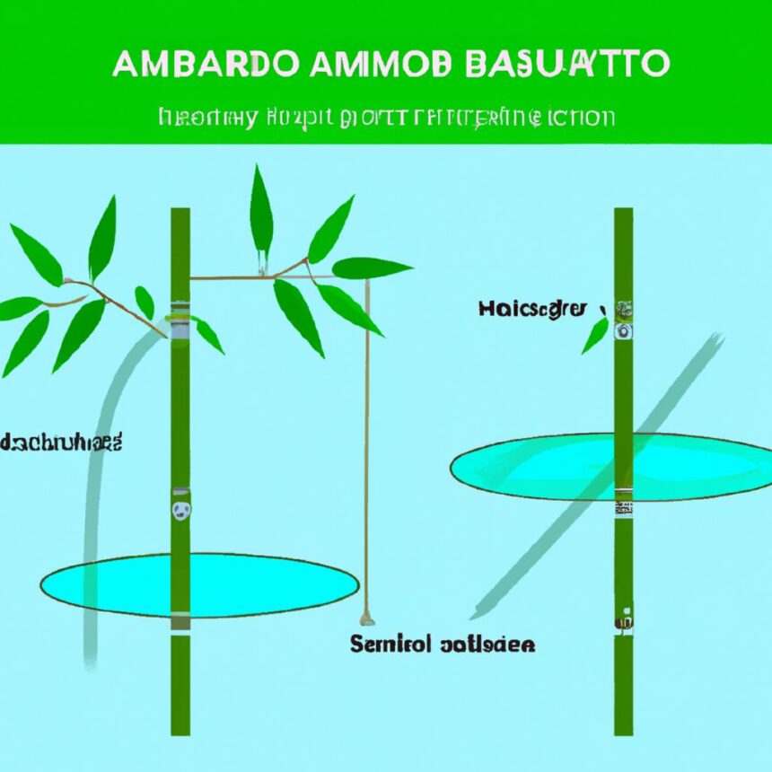 Bambú en la filtración de agua