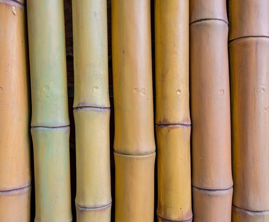 moho en bambu