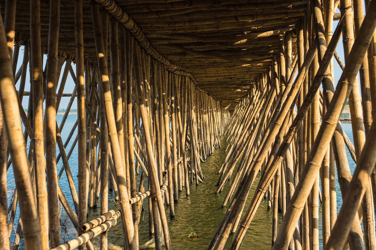 puente de bambu